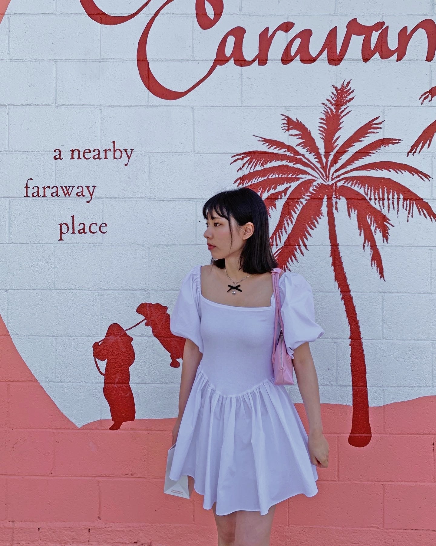 Puff Sleeve Mini Dress