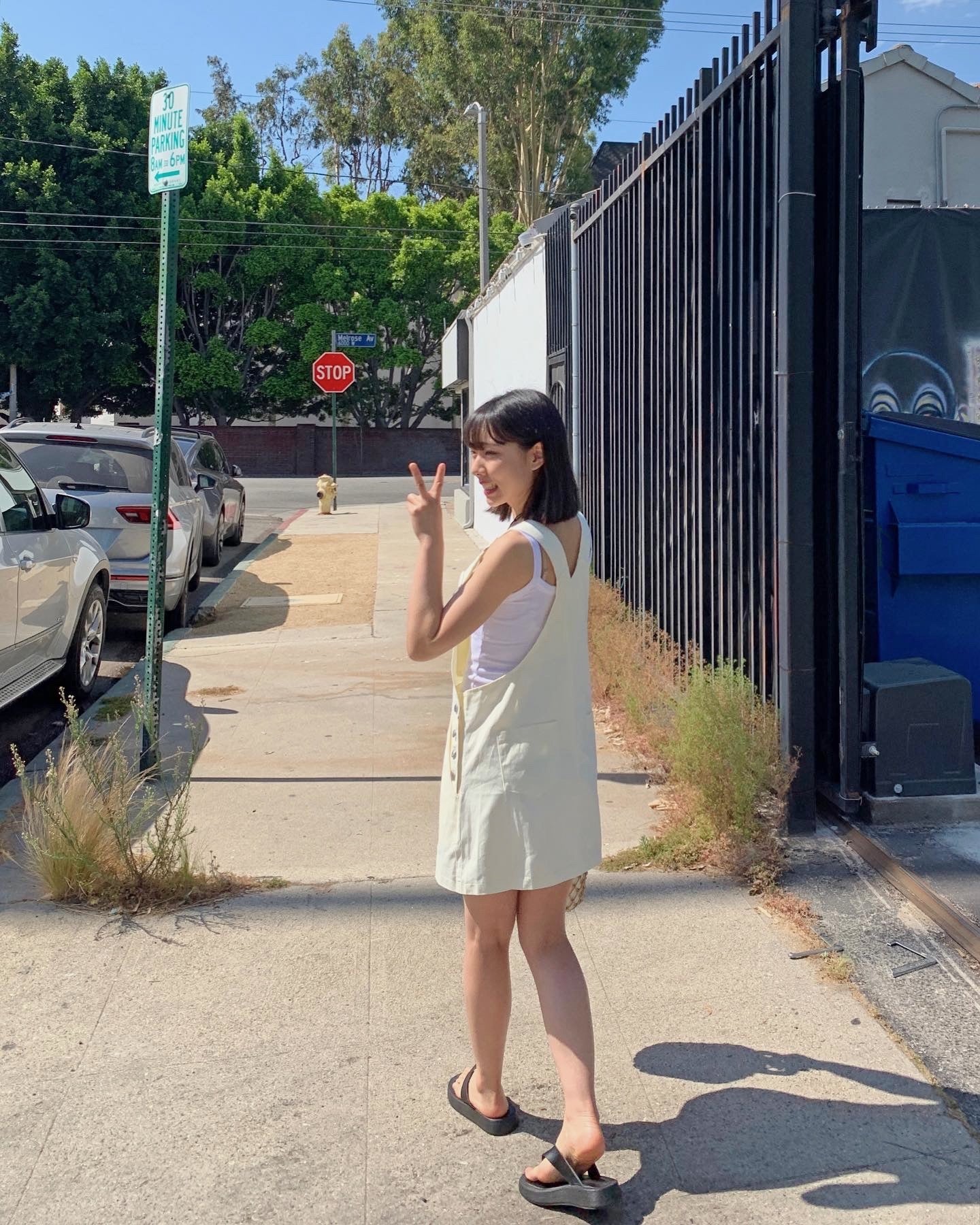 Cotton Overall Dress