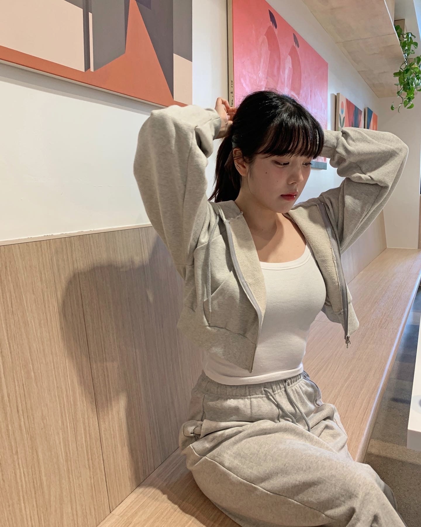 Zip Up Cropped Hoodie Set