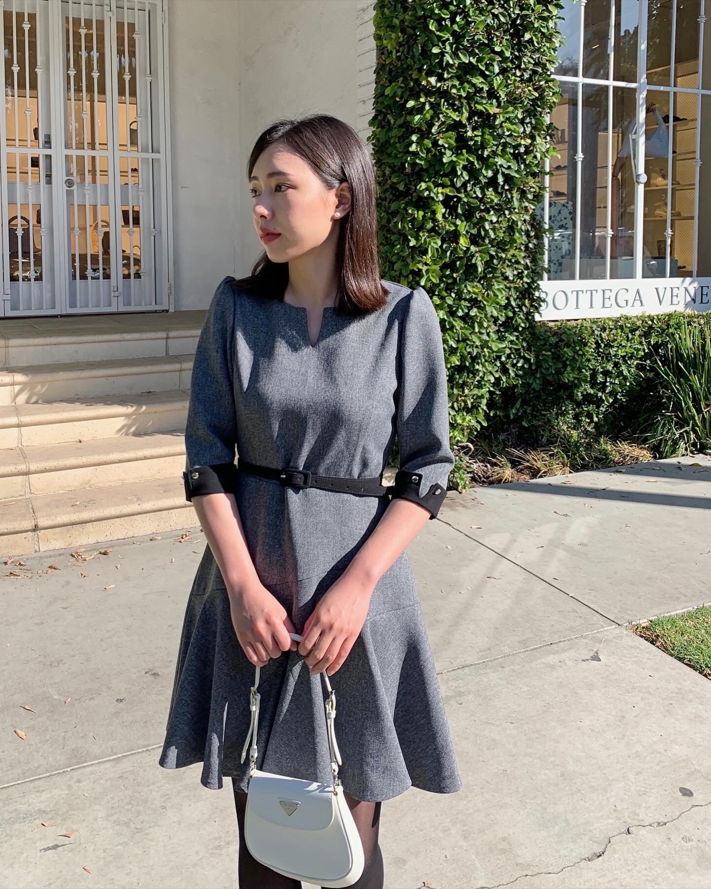 Flare Belt Dress