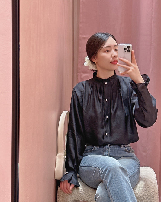 Sheer Organza High Neck Blouse