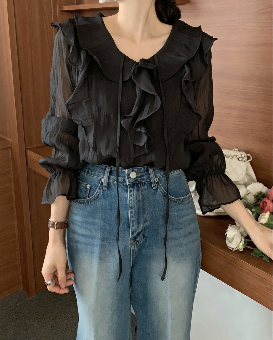 Sheer Ruffle Blouse