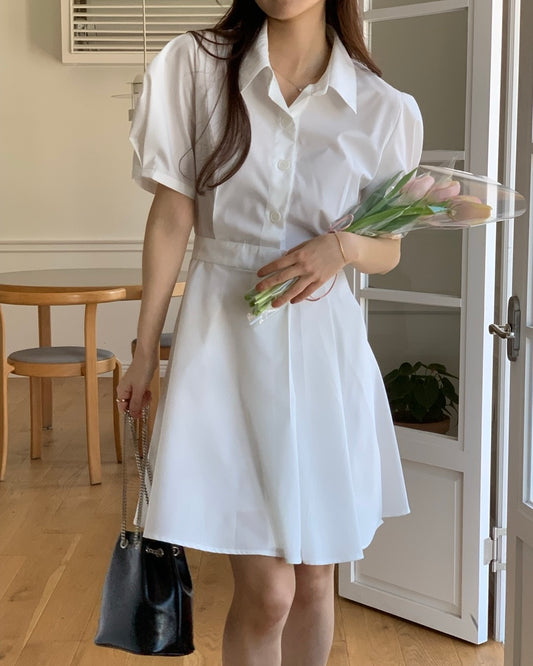 Puff Sleeve A-Line Dress