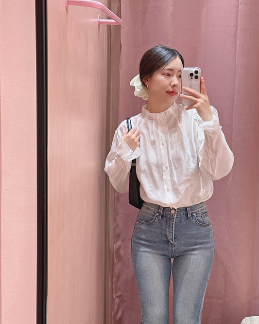 Sheer Organza High Neck Blouse