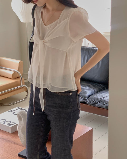 Sheer Front Tie Blouse