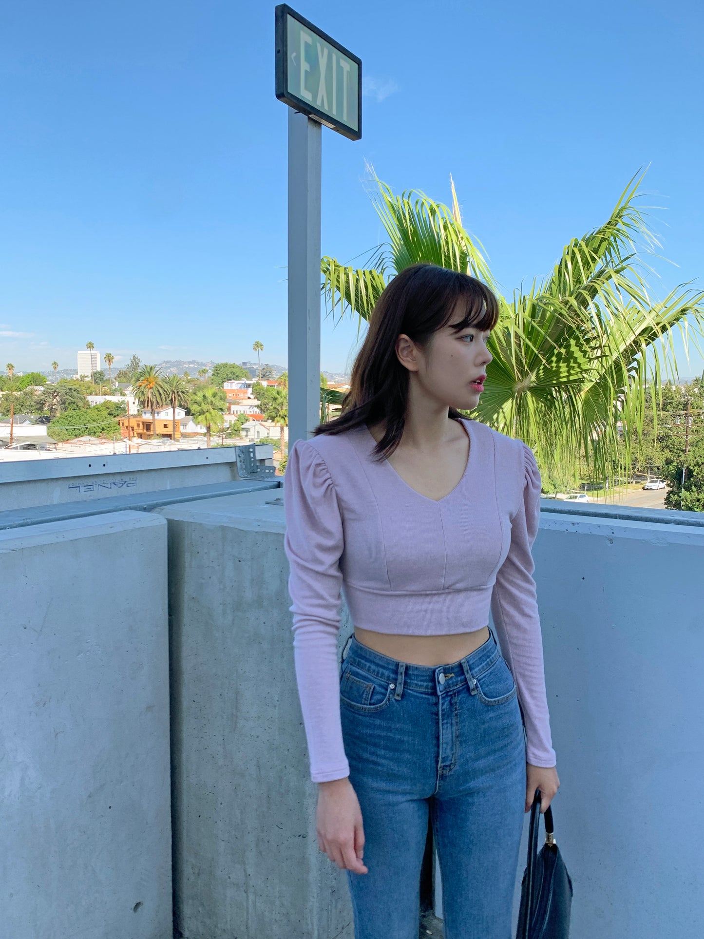 Puff Shoulder Cropped Knit Top