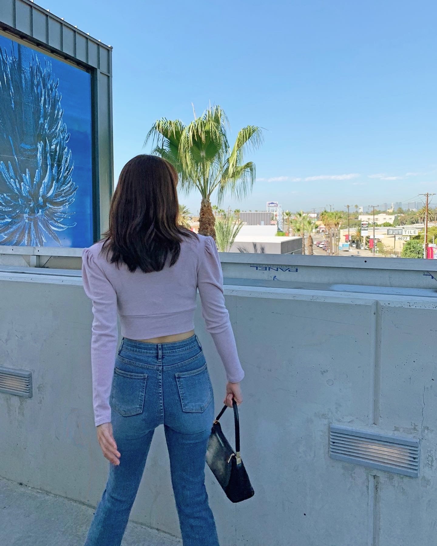 Puff Shoulder Cropped Knit Top
